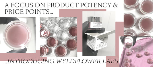A Focus On Product Potency & Price Points - Introducing Wyldflower Labs