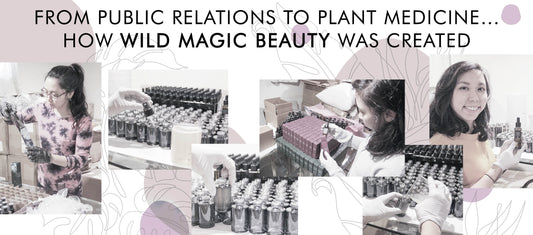 From Public Relations to Plant Medicine… How Wild Magic Beauty Was Created